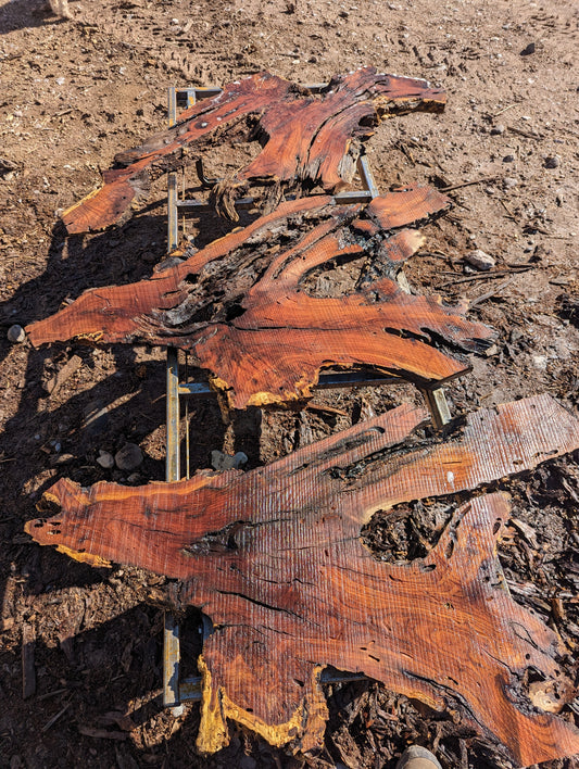 1.5" Mesquite Wood slabs image 0